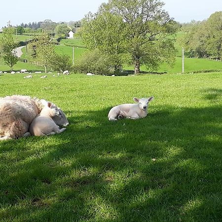 Ewe Retreat Shepherds Hut Херефорд Экстерьер фото